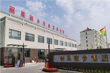 丽果丽乡农发集团