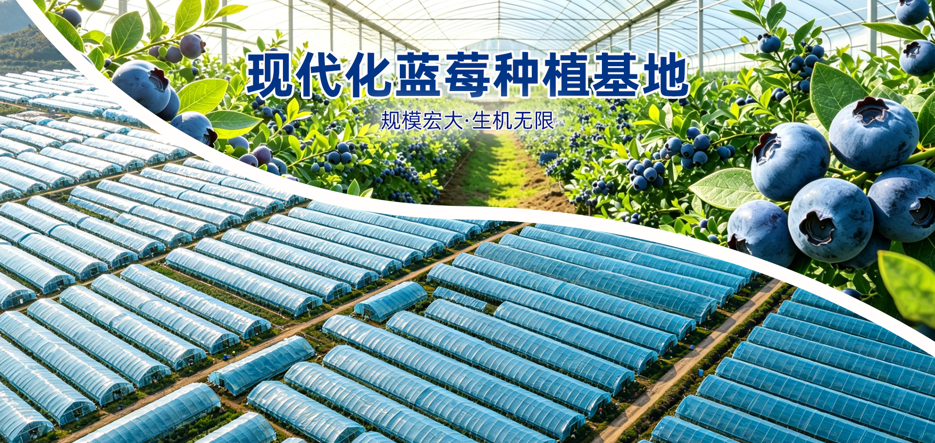 首页新品轮播图 3